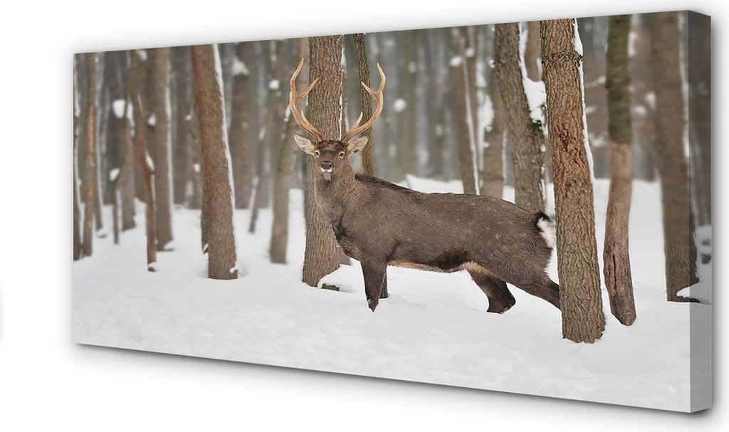 Leinwandbild 100x50 Wandkunst Deer Winterwald