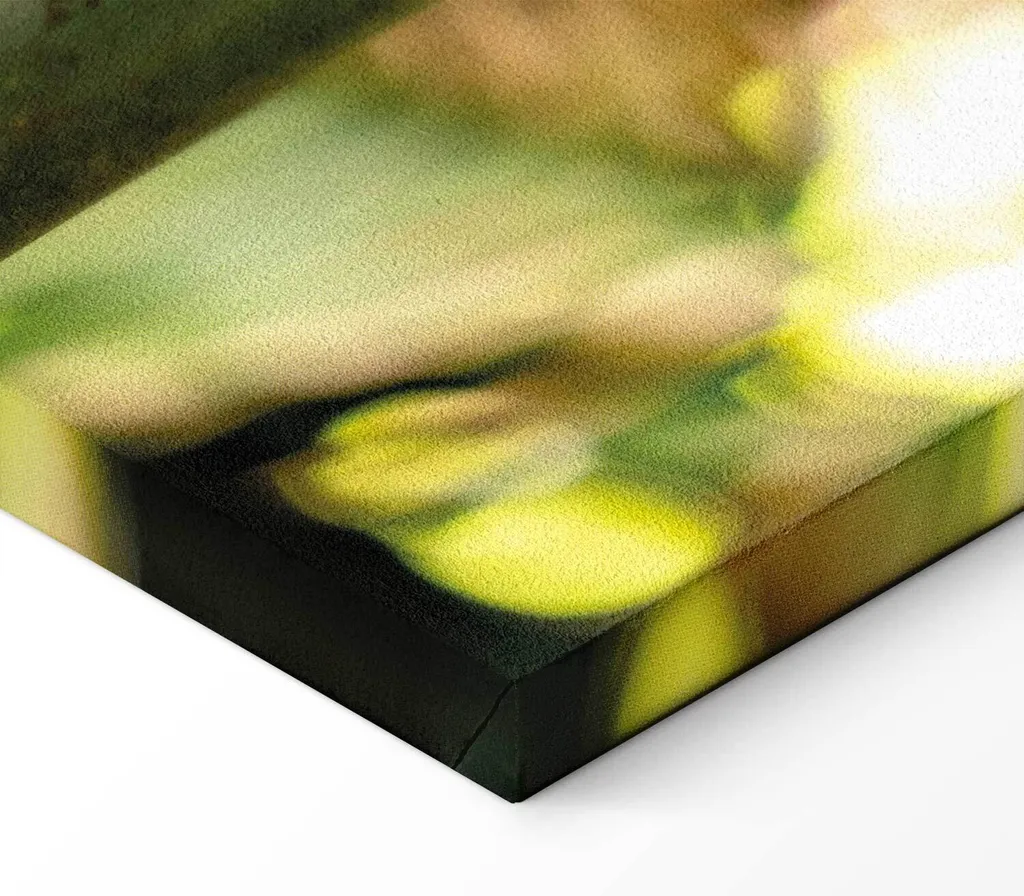 Murando Quadro XL Cascata 80x60 cm Stampa su Tela Design 2 Pezzi - 7