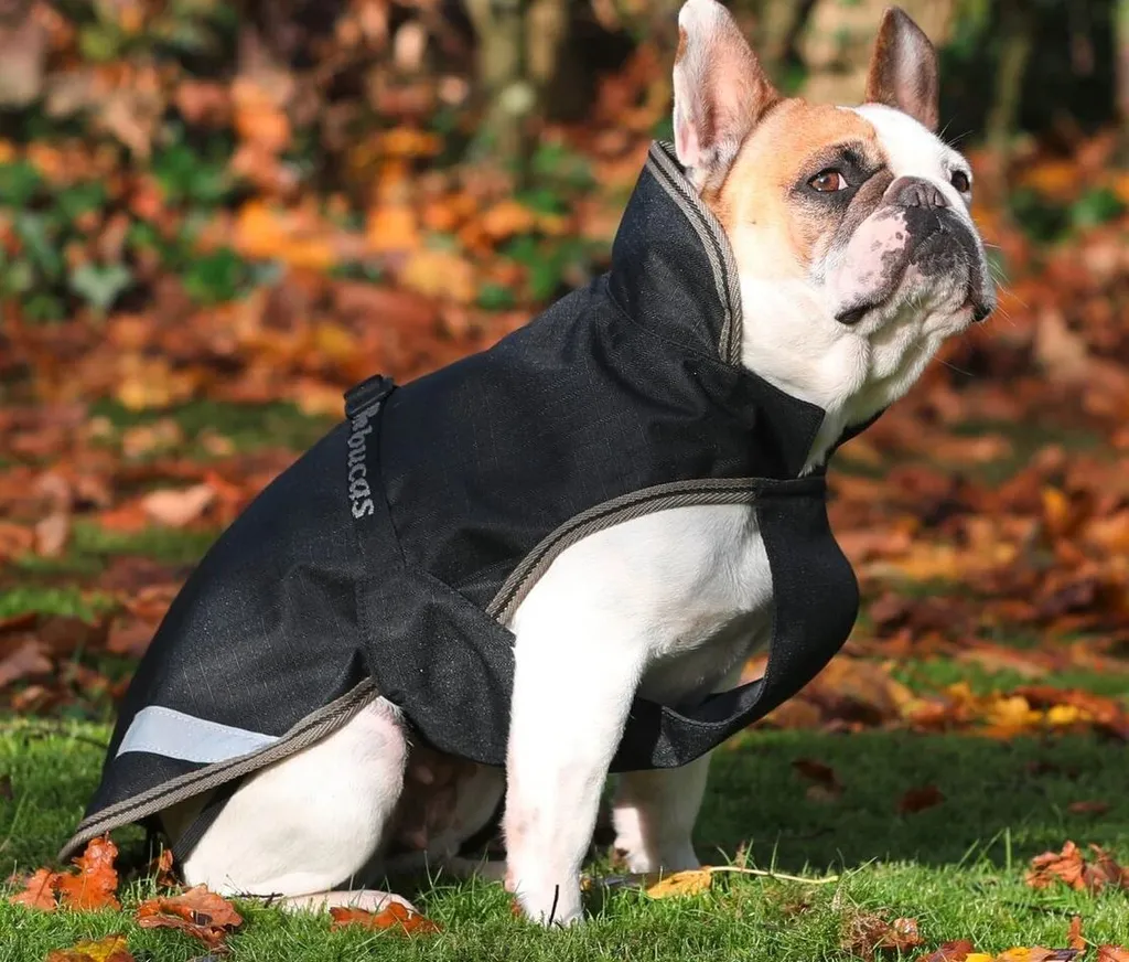 Bucas Freedom Dog Rug 150g Nero/Taupe 45cm | Cappotto Cane Impermeabile