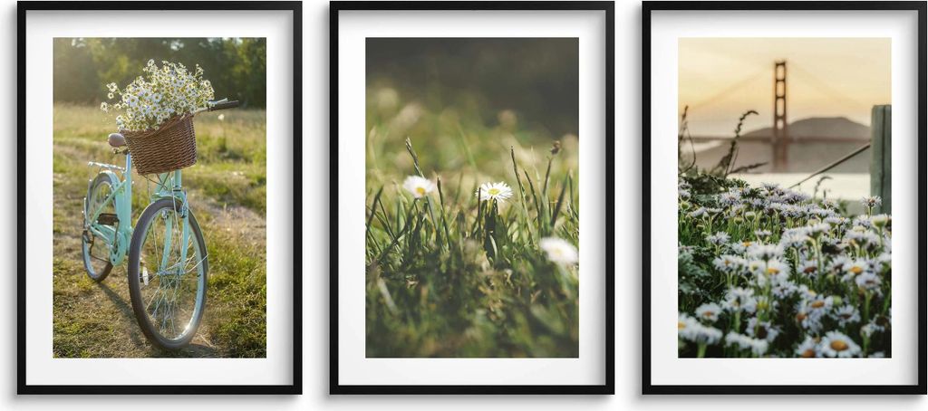 Poster für die Wohnzimmerwand, Blumen, Frühling, 3x 50x70cm