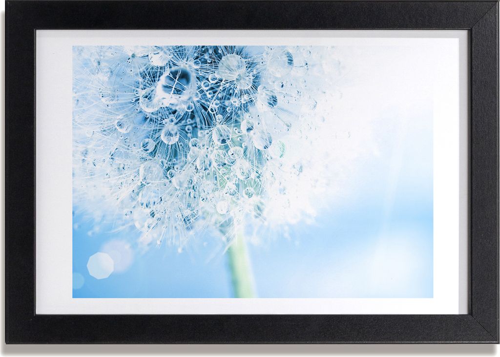 Bild 30x20 MDF-Rahmen, Wandkunst Löwenzahn