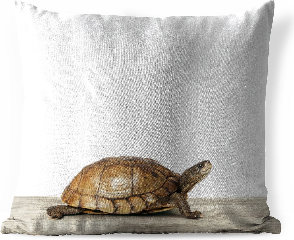 MuchoWow Outdoor Kissen - Schildkröte - Junge - Tiere - Kinder - Mädchen - 50x50 cm - Wetterfest - Lounge Kissen - Komfortabel - Kissen mit Bild