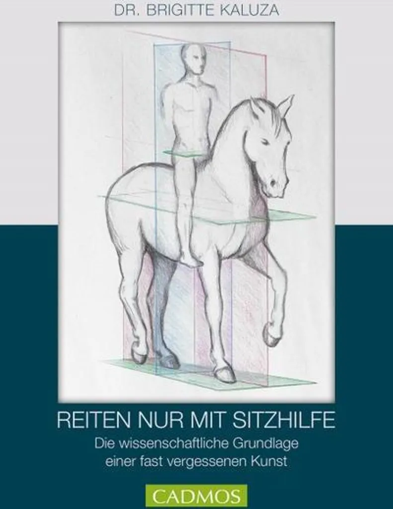Reiten nur mit Sitzhilfen : corriger sa position et ses aides à cheval