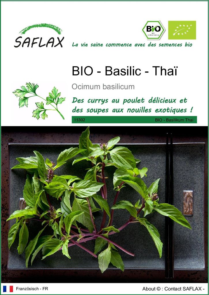 SAFLAX  -- Basilic - Thaï - 250 graines - Ocimum Image du produit 