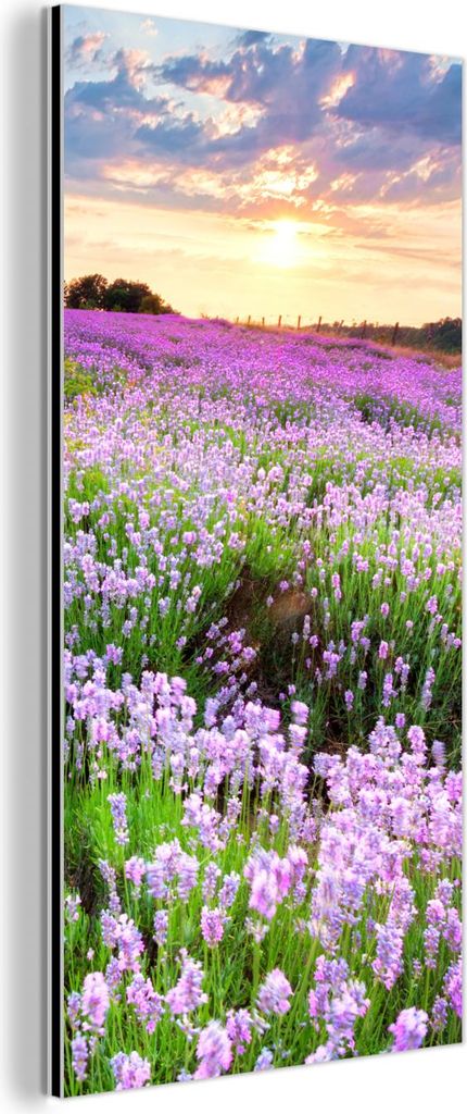 MuchoWow Wanddekoration Metall Metallbild Wandkunst 40x80 cm Blumen - Lavendel - Lila - Himmel - Sonnenuntergang - Wiese - Natur MuchoWow Aluminium...