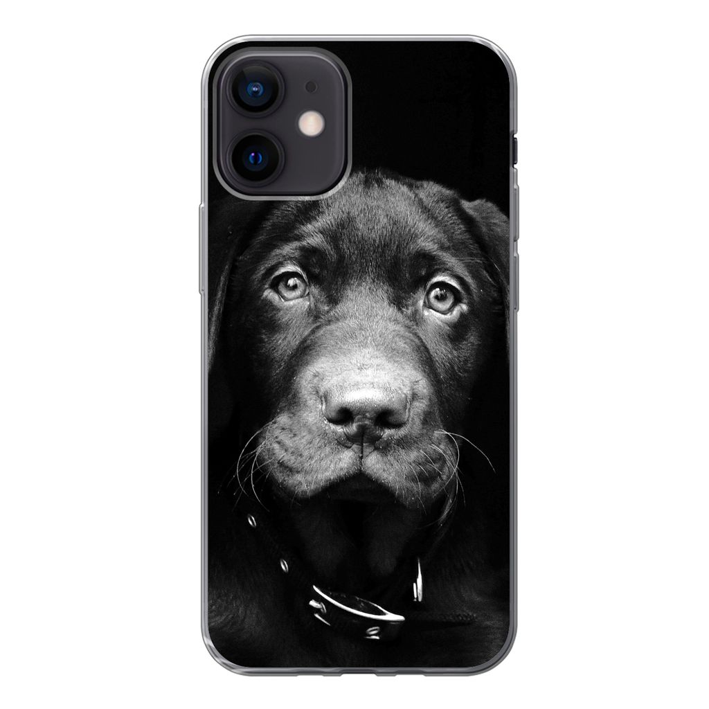 MuchoWow Handyhülle Schutzhülle Hülle für iPhone 12 Nahaufnahme Labrador Welpe vor schwarzem Hintergrund in schwarz und weiß Silikon Softcas...