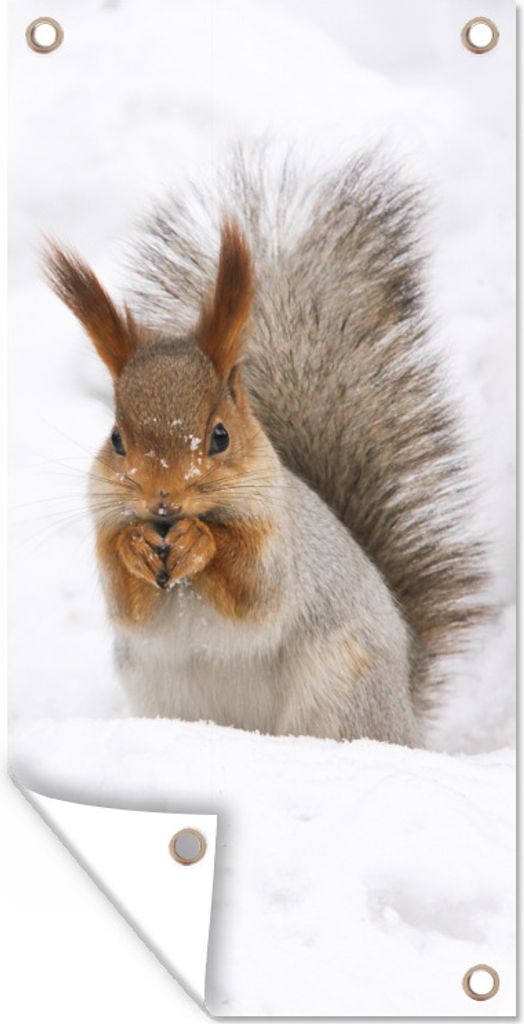 MuchoWow 30x60 cm Outdoor-Poster Gartendeko Sichtschutz Garten Poster für den Garten Eichhörnchen - Tier - Schnee