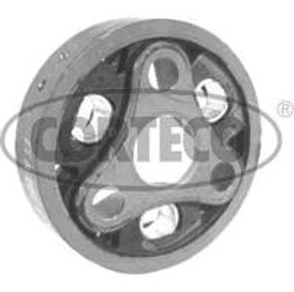 Supprimer vibrations transmission Classe C : Amortisseur Cardan 602983