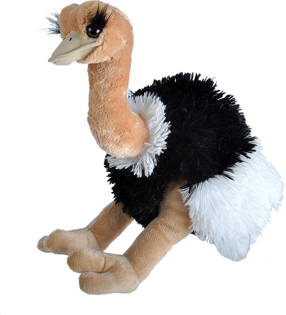 A plush toy ostrich is shown against a white background.