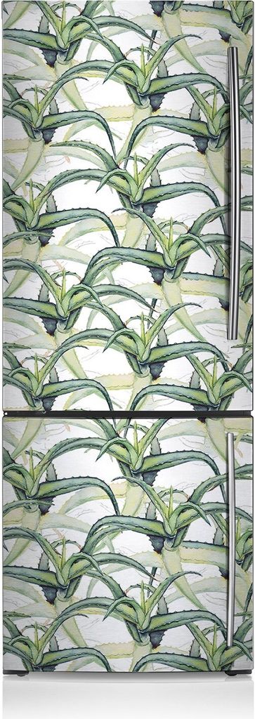 Kühlschrank Aufkleber Kühlschrankmagnete Dekoration Kühlschrankfolie 60x205 cm - Ein Aloe-Bild.