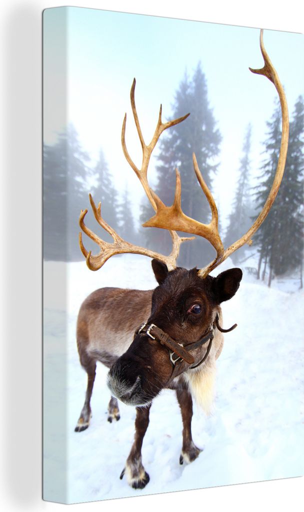 OneMillionCanvasses - Leinwandbilder - 90x140 cm, Ein Rentier im Schnee, Wandbilder Kunstdruck Wanddekoration - Wandschmucke - Schlafzimmer