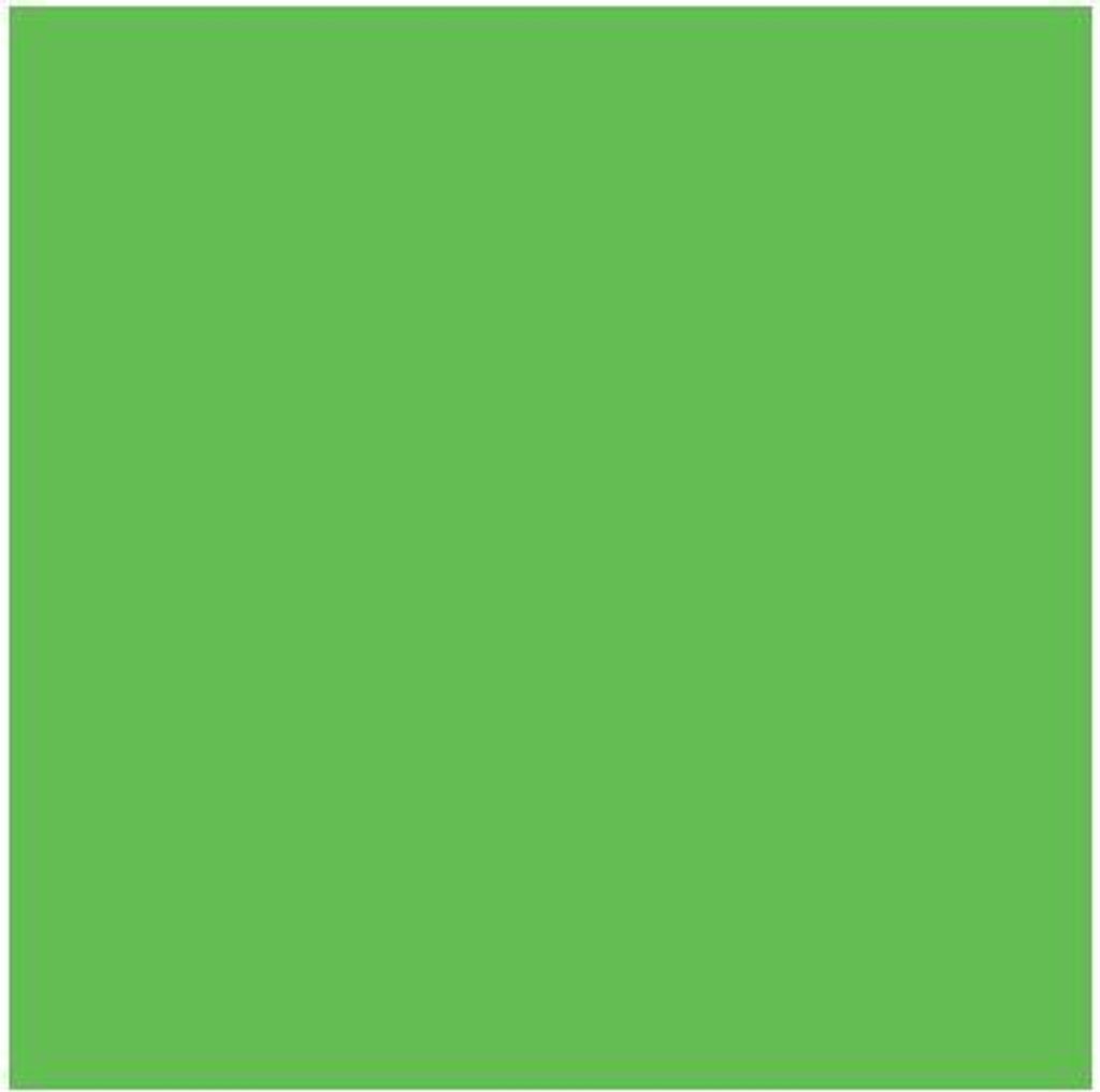 HEYDA Fotokarton 204716254 50x70cm 300g grasgrün 25 St./Pack.