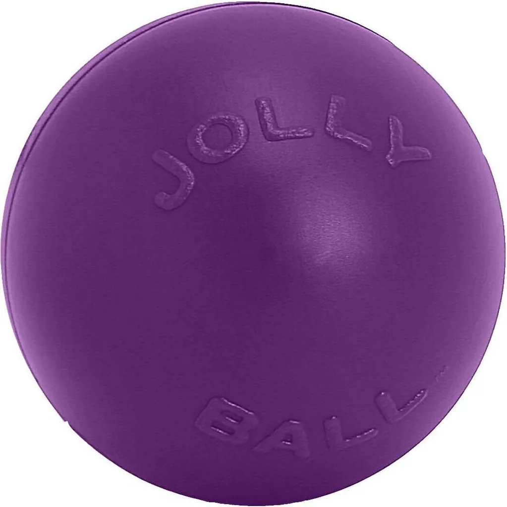 Balle d'Exercice pour Chien Jolly Pets Push-N-Play 35cm Violette
