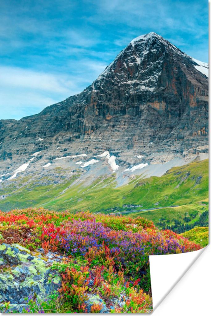 MuchoWow Poster Blumen - Berge - Schnee - Landschaft 120x180 cm - Kunstposter