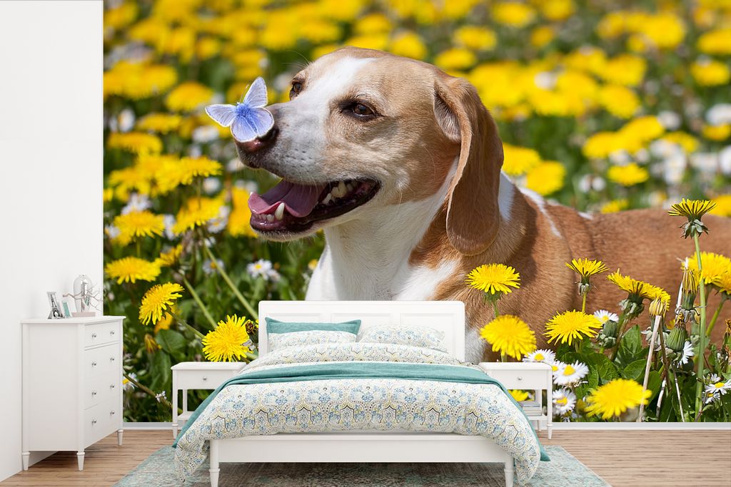 MuchoWow Fototapete für Wohnzimmer oder Schlafzimmer Wandtapete Vinyl Motivtapete Finder - Hund - Löwenzahn - 420x280 cm - Zimmer für Kinder