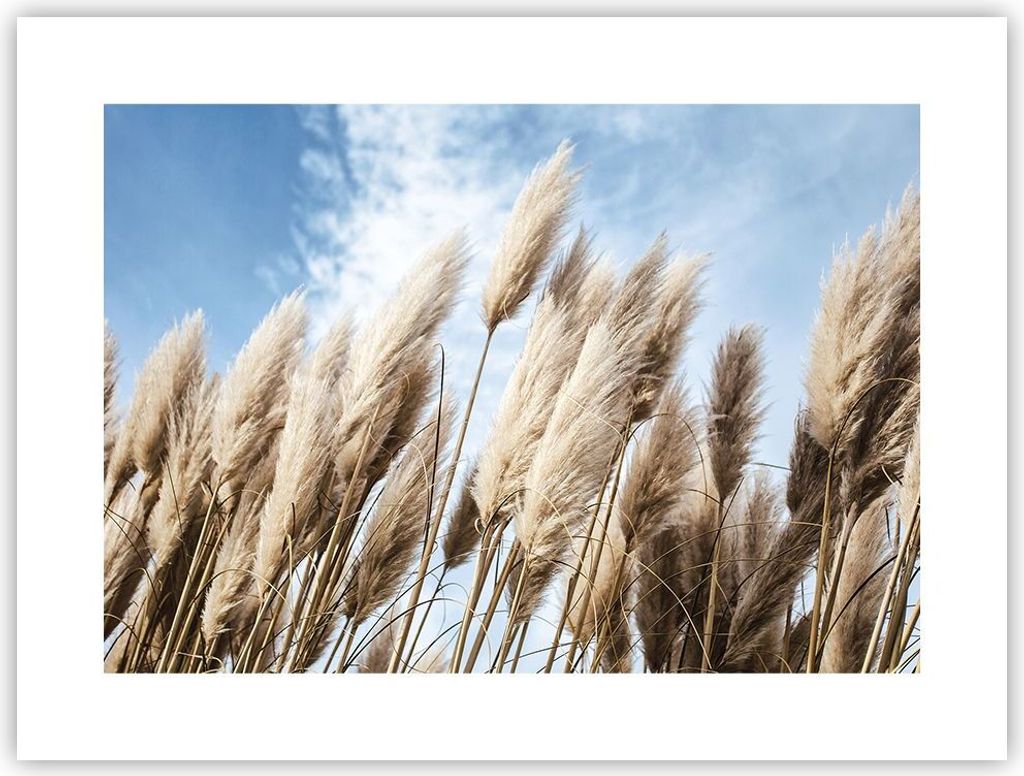 Poster - Poster ohne Rahmen - Stock Himmel Boho - 40x30 cm - Wand Bild - Wanddeko - Wandbilder - Kunstposter - Wandposter - Bilder - Kunstdruck - W...