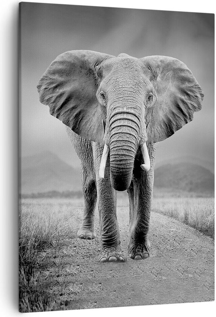 Bild auf Leinwand - Leinwandbild - Einteilig - Elefant Wildnis Natur - 50x70cm - Wand Bild - Wanddeko - Wandbilder - Leinwanddruck - Wanddekoration...