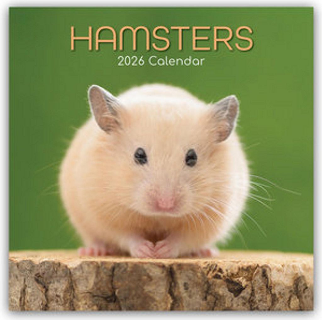 Hamsters - Hamster 2026 - 16-Monatskalender
