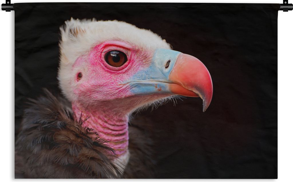 MuchoWow Wandteppich Wandbehang Geier - Vogel - Schnabel 120x80 cm Tapisserie Dekoration Wandtuch - Wanddekorationen - Wandtücher