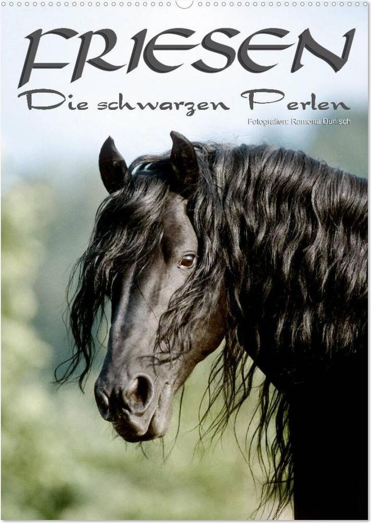 Friesen - die schwarzen Perlen (Wandkalender 2026 DIN A2 hoch), CALVENDO Monatskalender