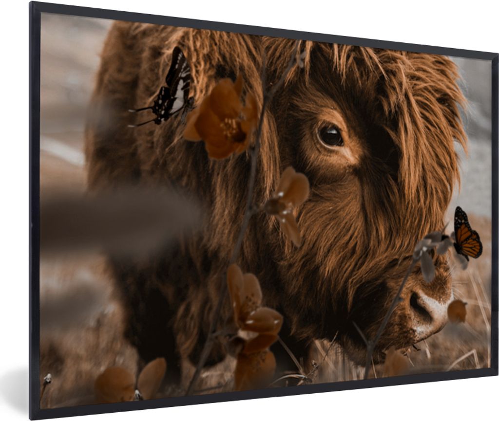 MuchoWow Gerahmtes Poster Schottische Highlander - Schmetterlinge - Blumen 60x40 cm - Poster mit Schwarzem Bilderrahmen Wandposter Rahmen Foto Bi...