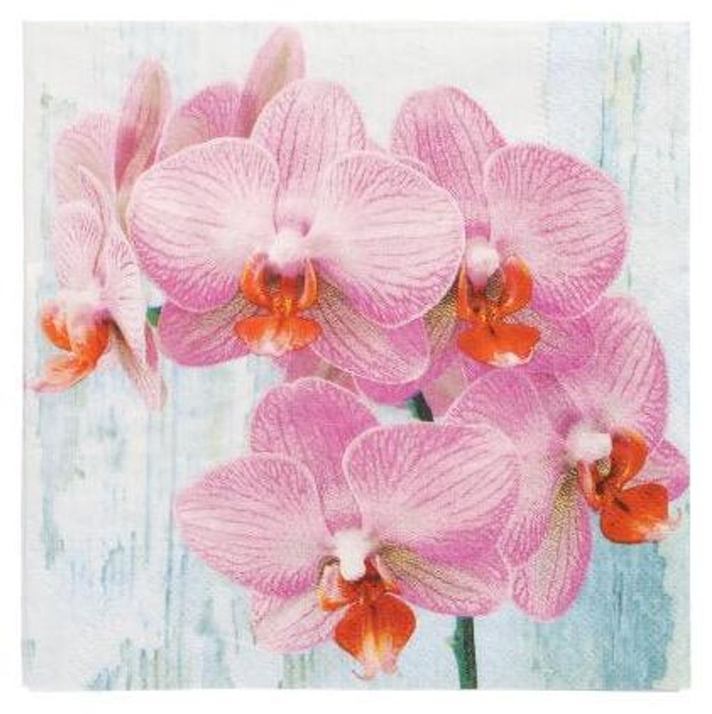 200 Servietten, 3-lagig 1/4-Falz 33 cm x 33 cm "Phalaenopsis"