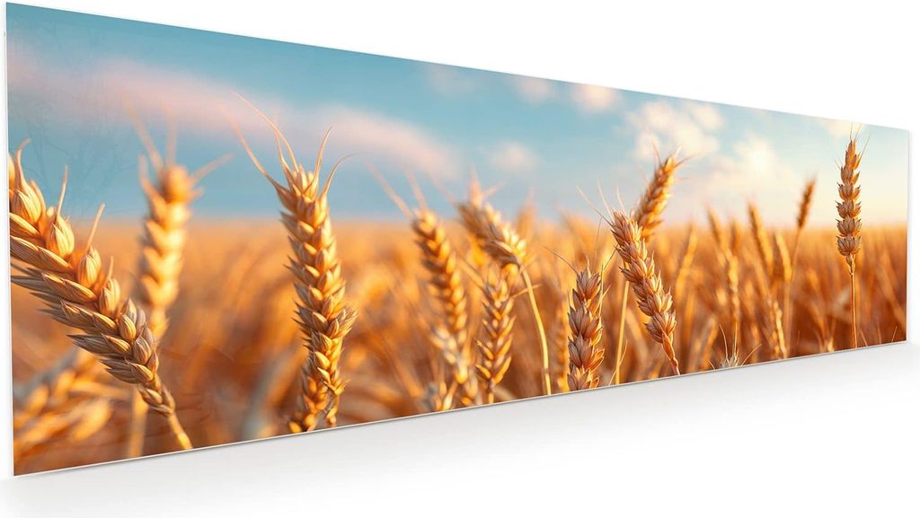 Glasbild 120x40cm in XXL für Wohnzimmer, Schlafzimmer Motiv Weizenfeld Sonnenuntergang