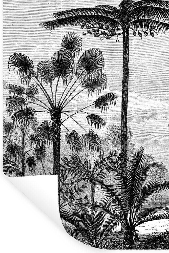 MuchoWow Wandtattoo Wandsticker Wandaufkleber Design - Bäume - Natur - Pflanzen - Botanisch 40x60 cm Selbstklebend und Repositionierbar - Wierde...