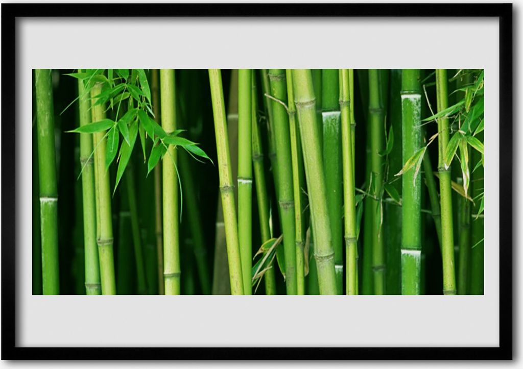 Bild 100x70 MDF-Rahmen Wandkunst Bambus Bambuswald Natur