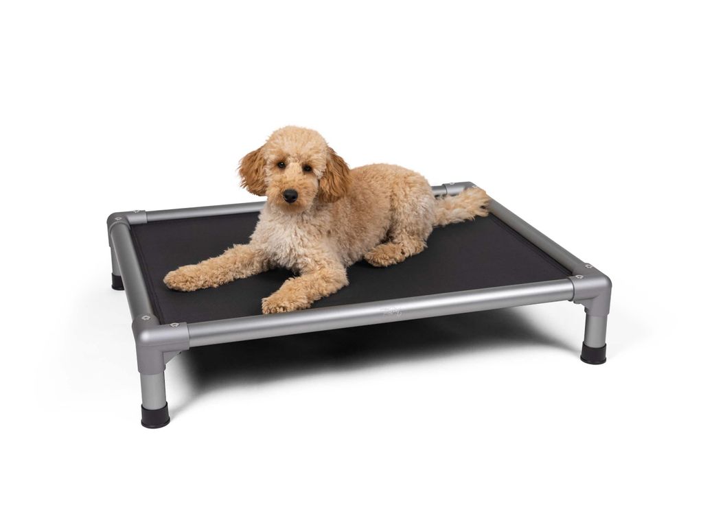 A dog lying on a raised pet bed.