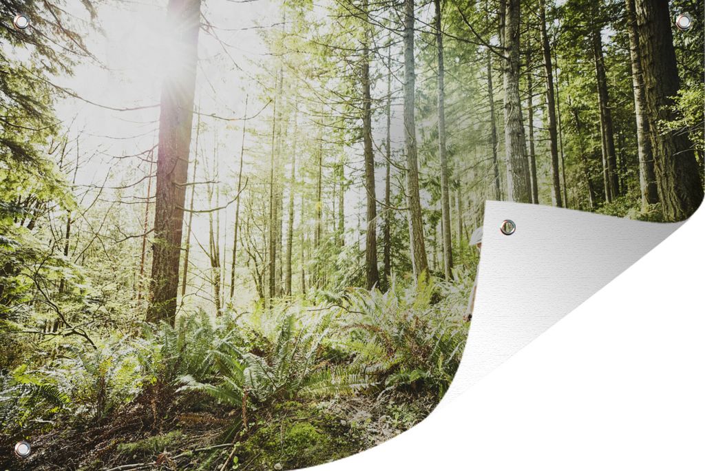 MuchoWow 120x80 cm Outdoor-Poster Gartendeko Sichtschutz Garten Poster für den Garten Zwei Frauen auf Mountainbikes durch den Wald