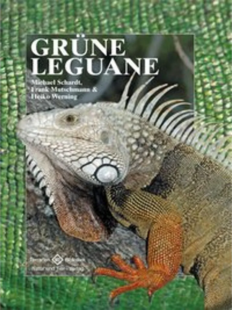 Lampe Chauffante pour Iguane Vert : Kit Ampoule UVB 10.0 Terrarium