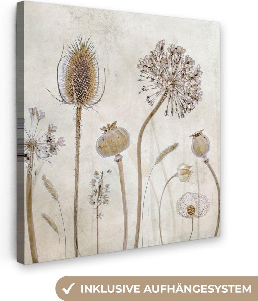 MuchoWow - Leinwandbilder - Blumen - Aquarell - Stilleben - Braun - Vintage, Wandbild, Wanddeko Bilder Wohnzimmer, 20x20 cm