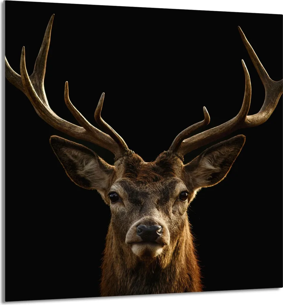 PIATTO IN VETRO PER CUCINA 60x65 Stag