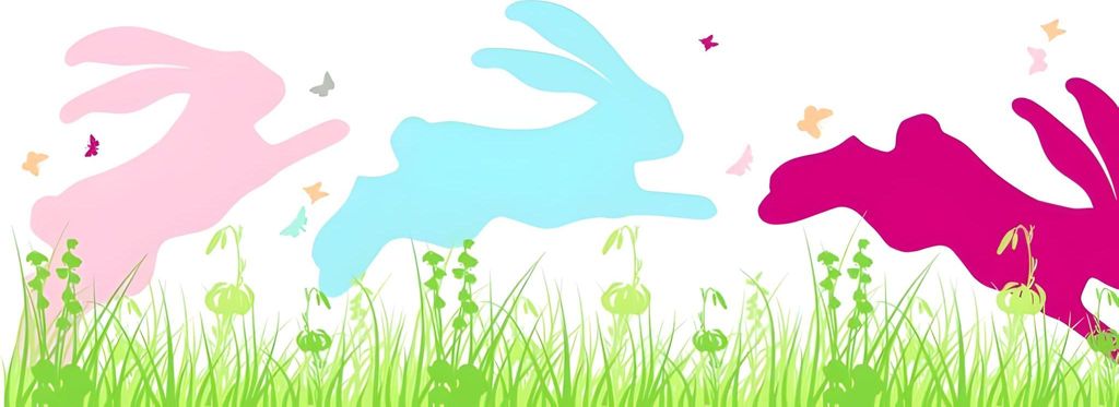 Heyda 203584486 Tapes fenêtre "Lapin" 200 x 7,5 cm Image du produit 