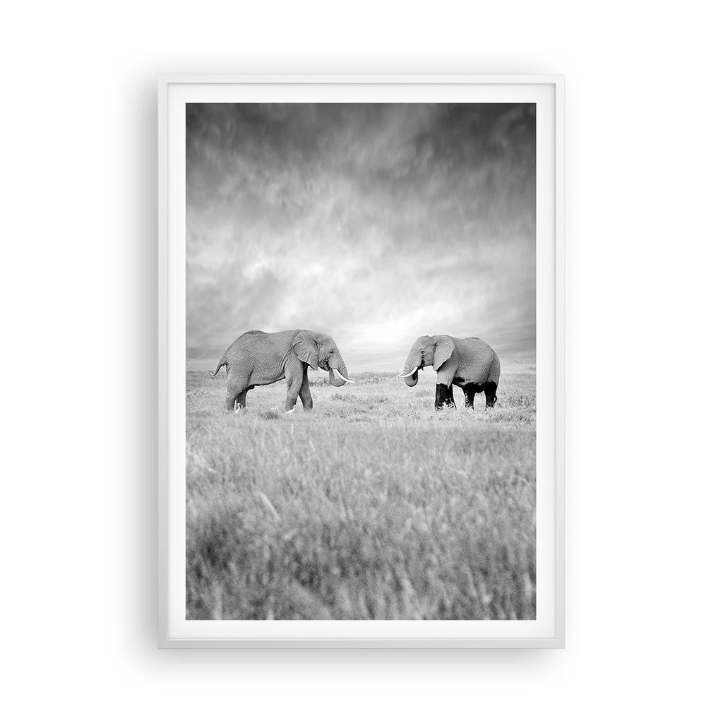 Gerahmtes Poster - Weißer Rahmen - Elefanten Schwarzweiß Safari - 70x100 cm - Wand Bild - Wanddeko - Wandbilder - Wandposter - Bilderrahmen - Bil...