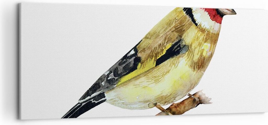 Bild auf Leinwand - Leinwandbild - Einteilig - Stieglitz Vogel Aquarell - 120x50cm - Wand Bild - Wanddeko - Wandbilder - Leinwanddruck - Bilder - W...