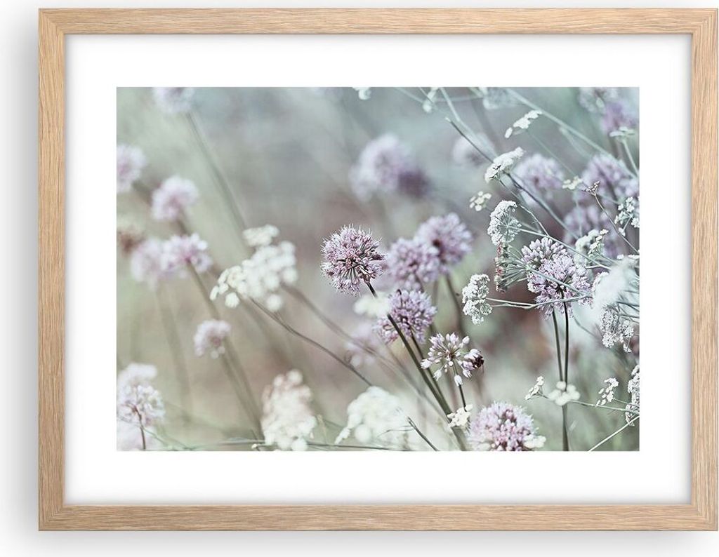 Gerahmtes Poster - Rahmen in heller Eiche - Wiese Knoblauch Blume - 40x30 cm - Wand Bild - Wanddeko - Wandbilder - Wandposter - Bilderrahmen - Bild...