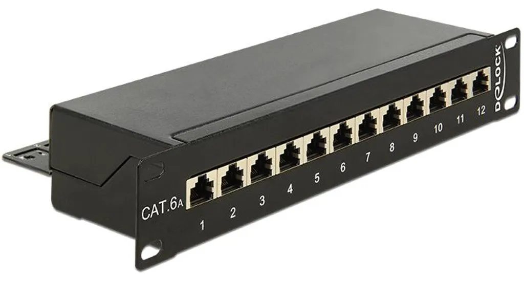 DeLOCK 43310 Patch Panel RJ45 12 Ports Noir RAL 9005 10 Pouces 1U