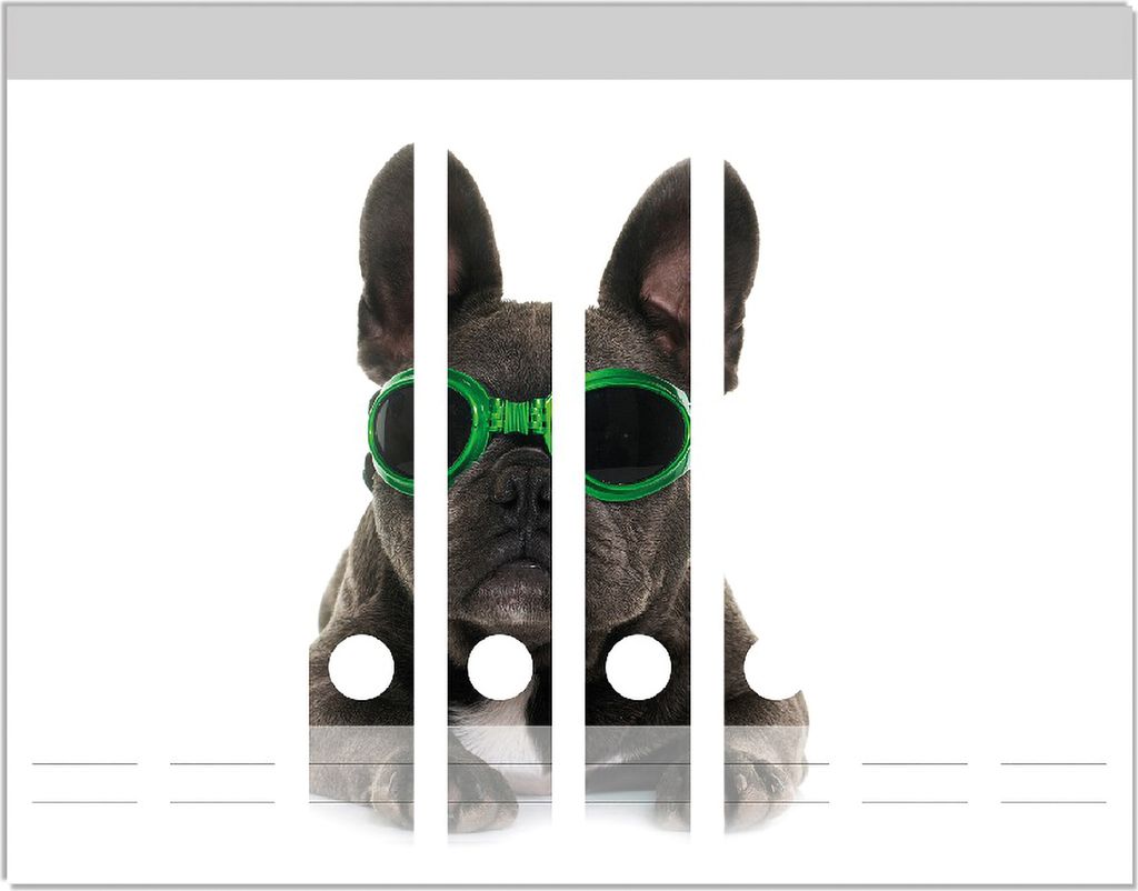 Wallario Ordnerrücken Sticker, selbstklebend für schmale Ordner, 8 Stück, Motiv Cooler Hund mit Sonnenbrille in grün - Französische Bulldogge