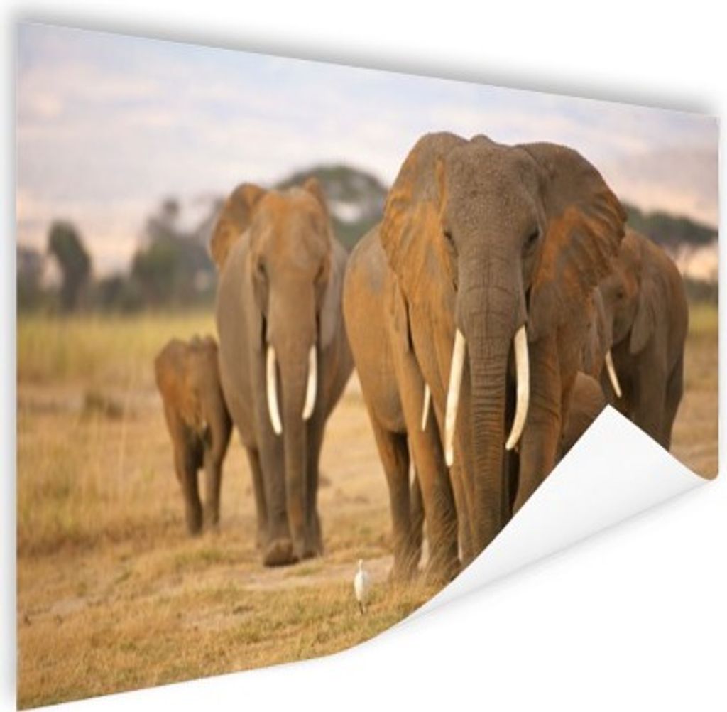 MuchoWow Poster Familie der Elefanten 120x80 cm - Bilder