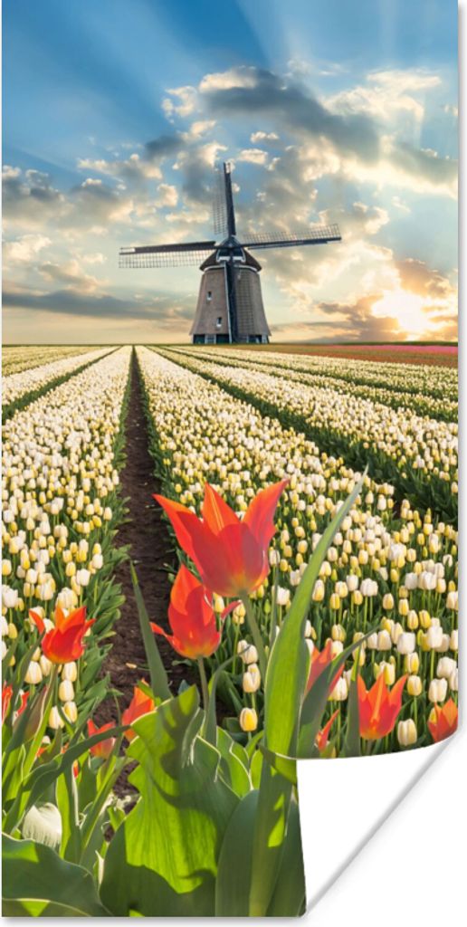 MuchoWow Poster Windmühle - Tulpen - Himmel - Natur 40x80 cm - Dekoration