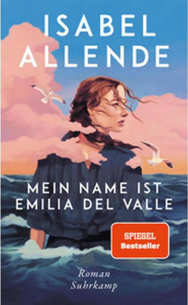 Idée Cadeau Lecture : Roman Emilia del Valle Pageturner Incontournable