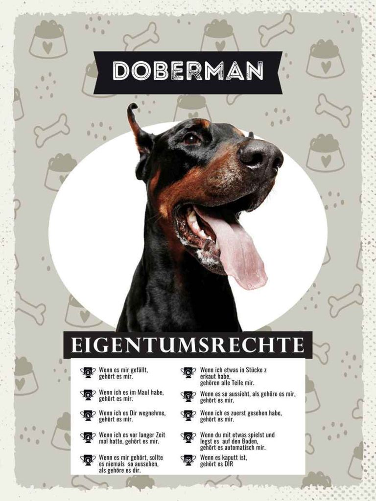 vianmo Holzschild 40x30 cm Doberman Eigentumsrechte Tier Haustier