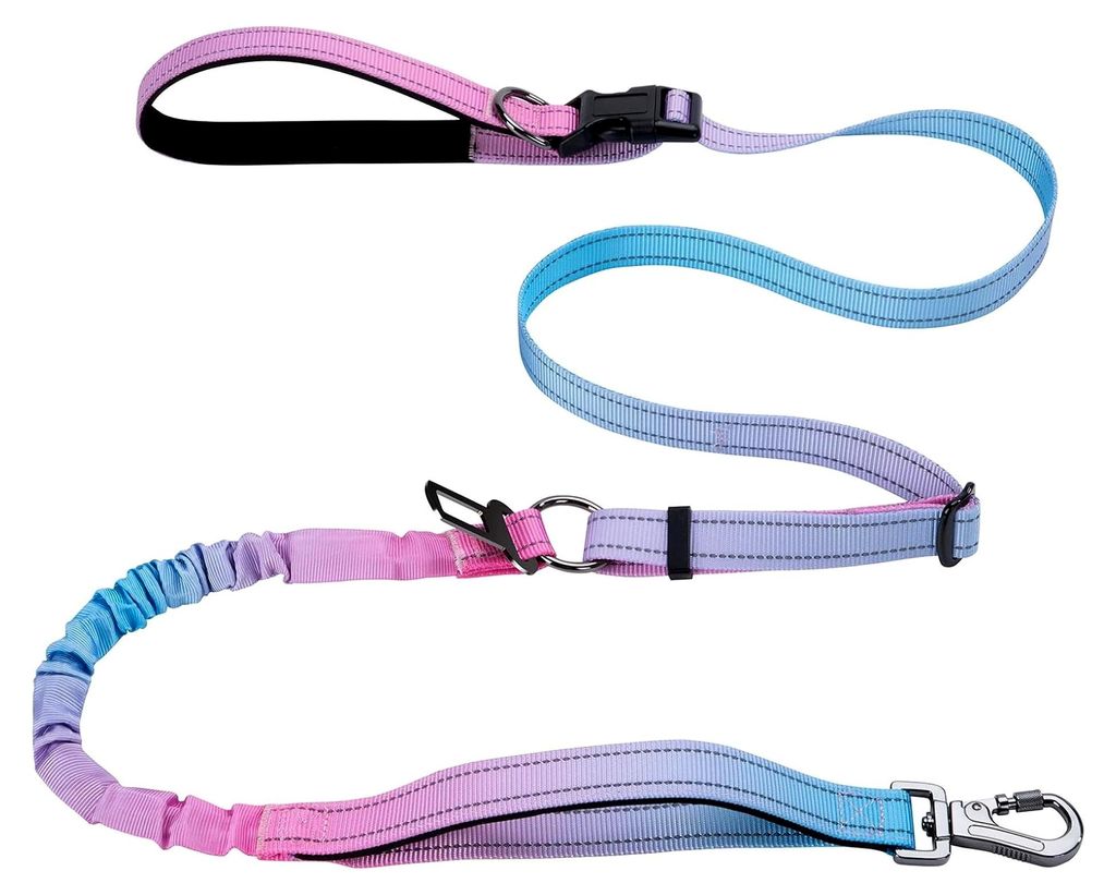 Verstellbare Hundeleine mit reflektierenden Streifen - Joggingleine für mittelgroße und große Hunde (Blau-Rosa)