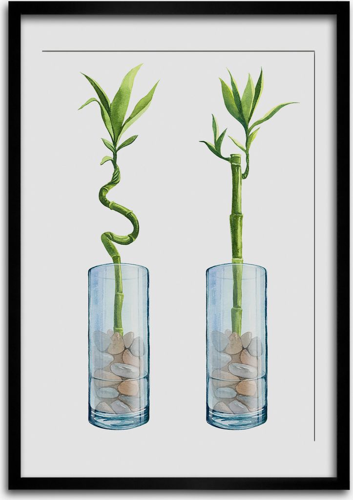 Bild - Bilderrahmen - Foto - 70 cm x 100 cm - MDF - Rahmen - Wandkunst - Bambus in einem Topf