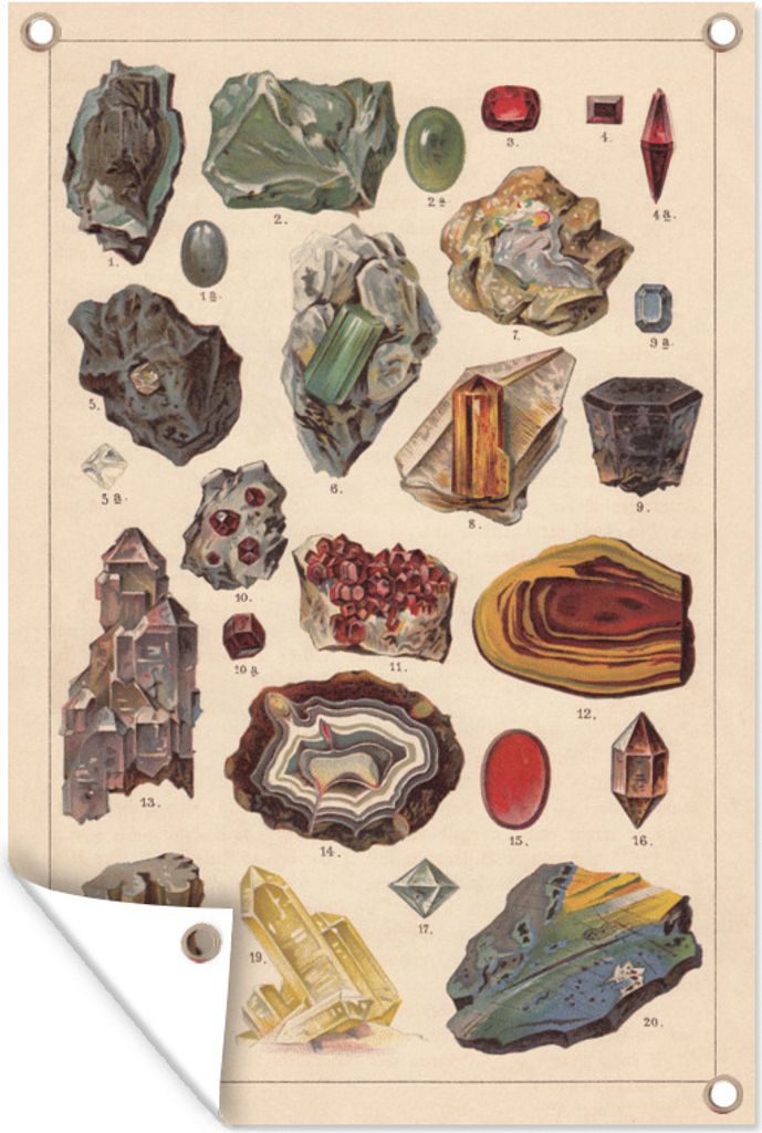 MuchoWow 80x120 cm Outdoor-Poster Gartendeko Sichtschutz Garten Poster für den Garten Eine historische Illustration von Edelsteinen
