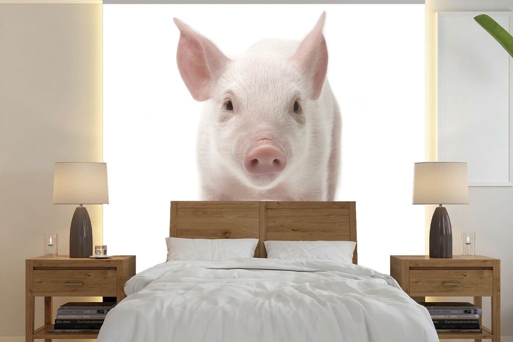 MuchoWow Fototapete für Wohnzimmer oder Schlafzimmer Wandtapete Vinyl Motivtapete Schwein - Tiere - Weiß - 260x260 cm - Papiertapeten