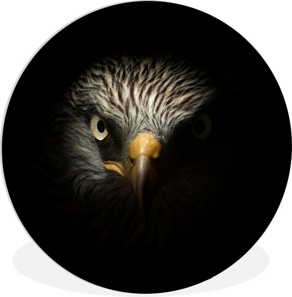 MuchoWow Rundes Wandbild - Runde Bilder Vogel - Adler - Raubvögel - Auge - Schnabel - Licht Ø 90 cm Kreis Wanddekoration Kunststoff - Wandkreis...