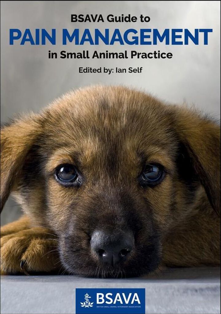 Bsava Guide To Pain Management In Small – Lingua: Inglese